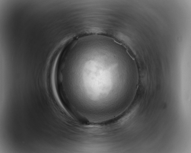 X0000088860395200706151739