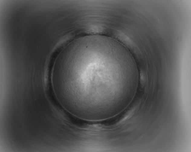X0000088860396200706151739
