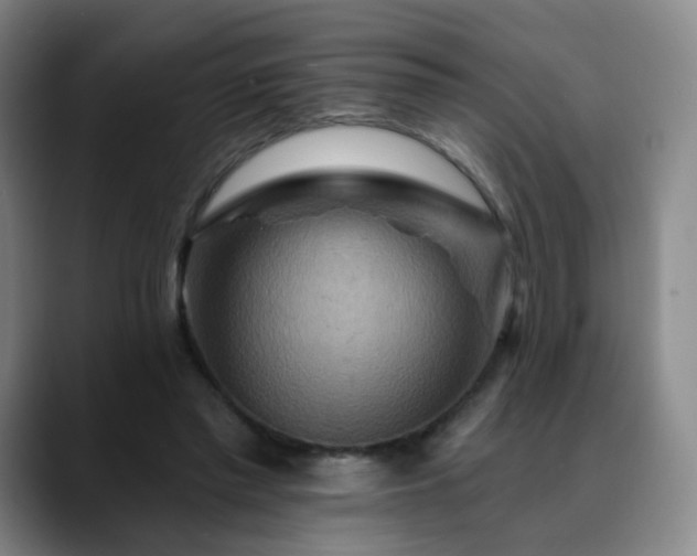 X0000088860397200706151739