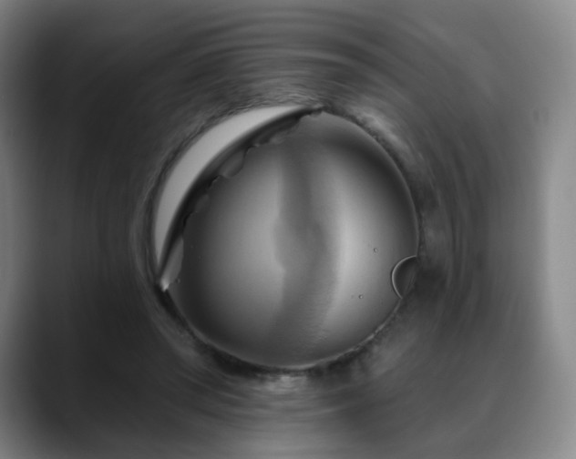X0000088860398200706151739