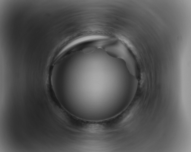 X0000088860399200706151739