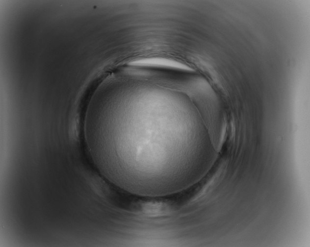 X0000088860400200706151739