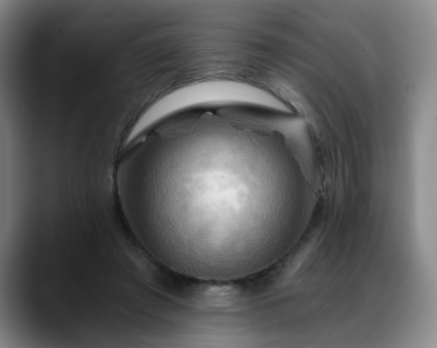X0000088860401200706151739