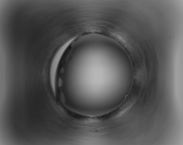 X0000088860402200706151739