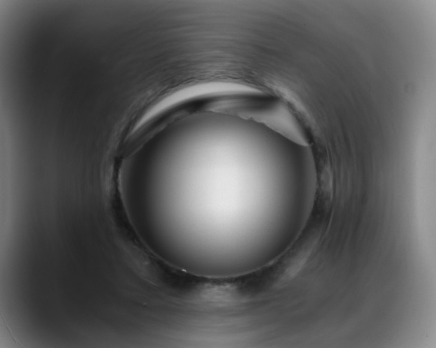 X0000088860403200706151739