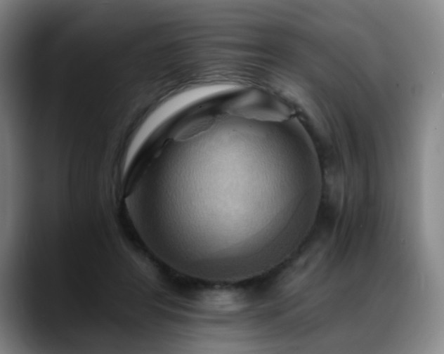 X0000088860404200706151739