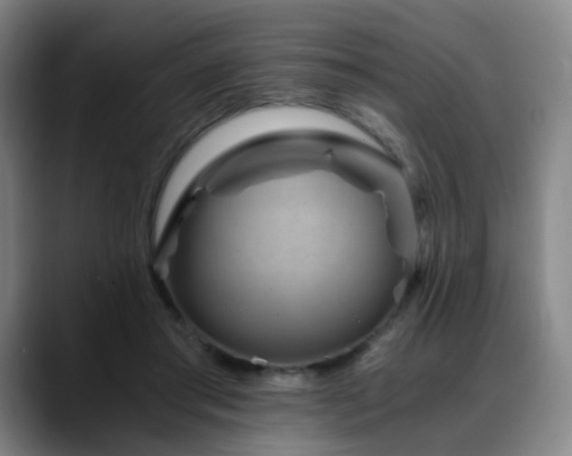 X0000088860405200706151739