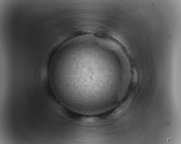 X0000088860407200706151739