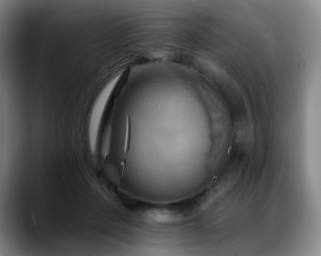 X0000088860408200706151739