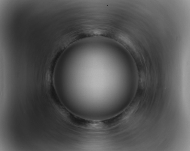 X0000088860410200706151739
