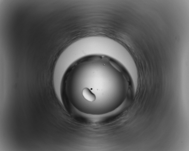 X0000088860411200706151739