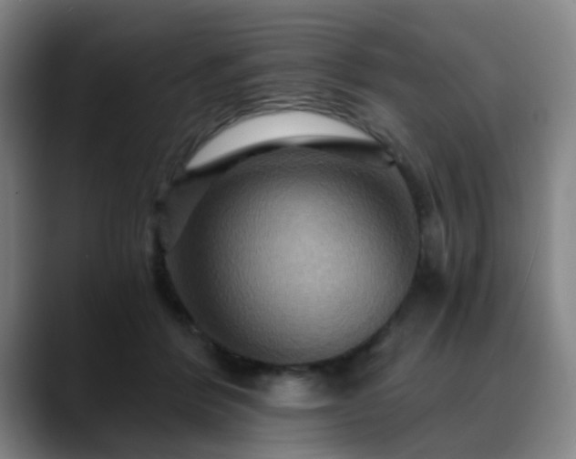 X0000088860412200706151739
