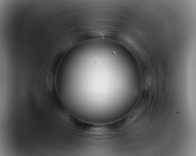 X0000088860414200706151739