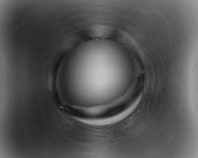 X0000088860416200706151739