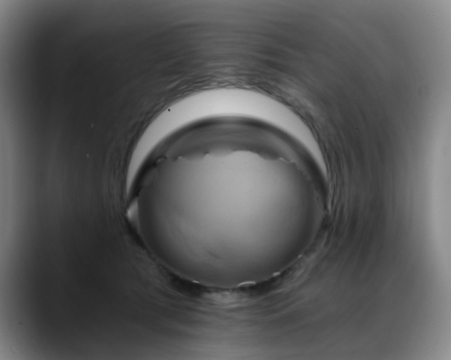 X0000088860417200706151739