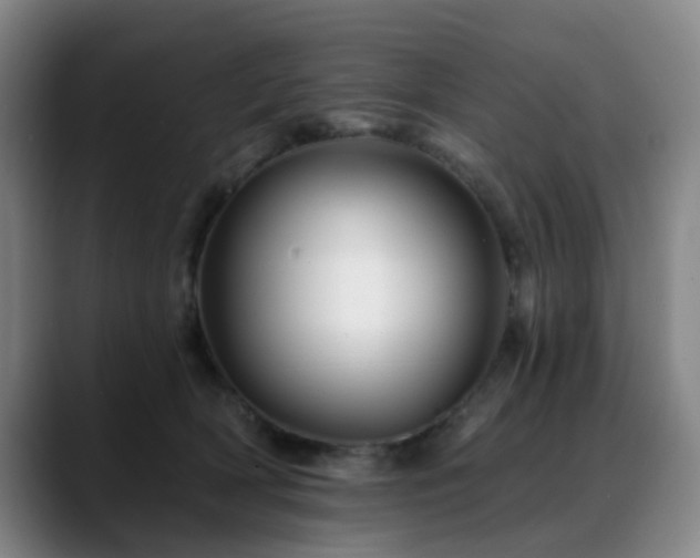 X0000088860418200706151739
