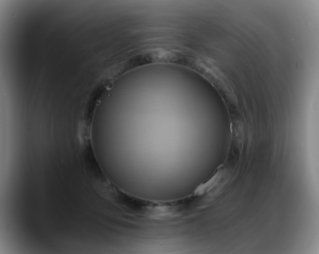 X0000088860419200706151739