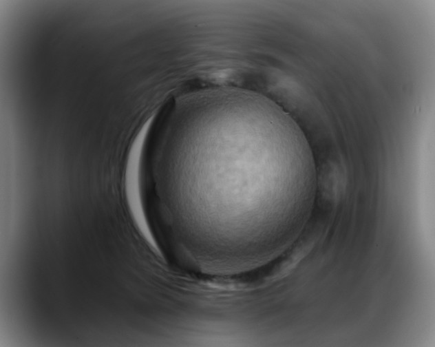 X0000088860420200706151739