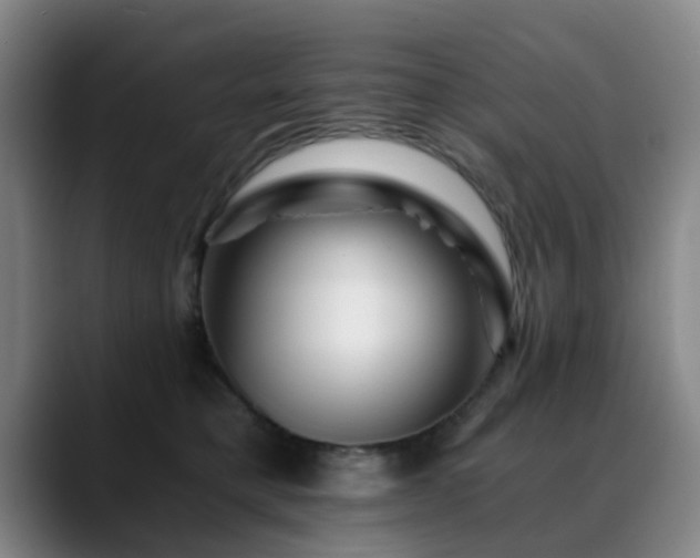 X0000088860421200706151739