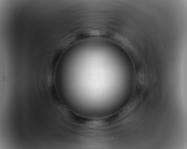 X0000088860422200706151739