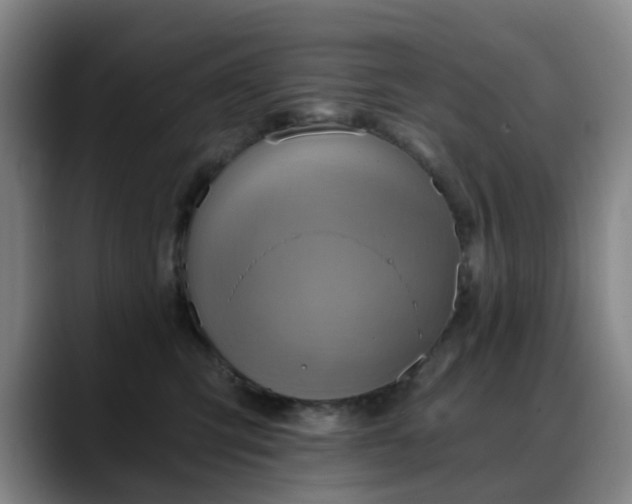 X0000088860423200706151739