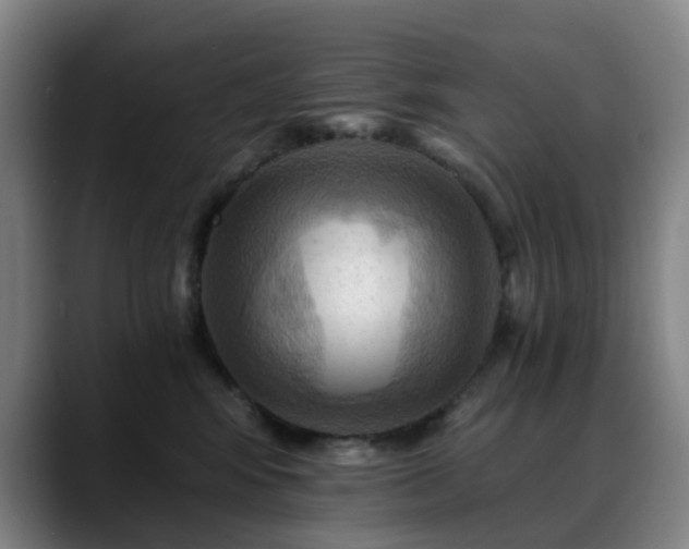 X0000088860424200706151739