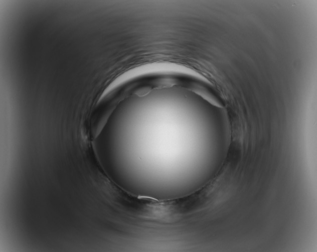 X0000088860425200706151739