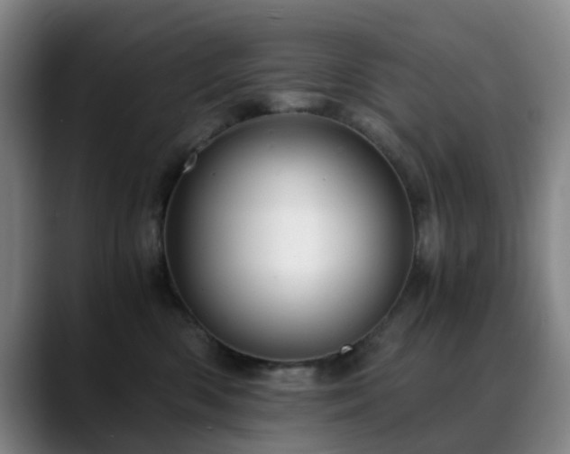 X0000088860426200706151739