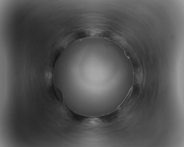 X0000088860427200706151739