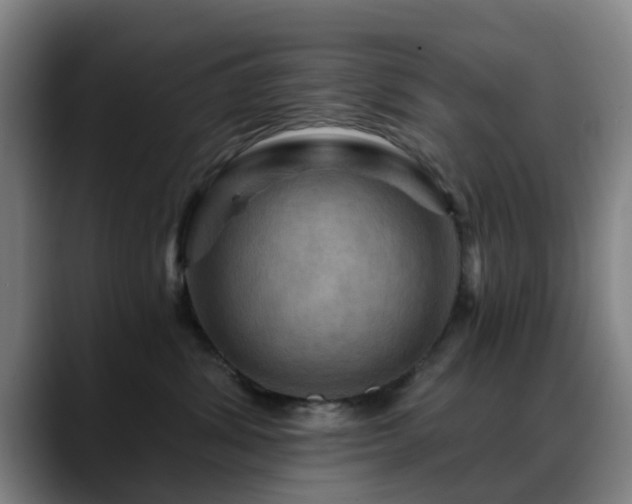 X0000088860428200706151739