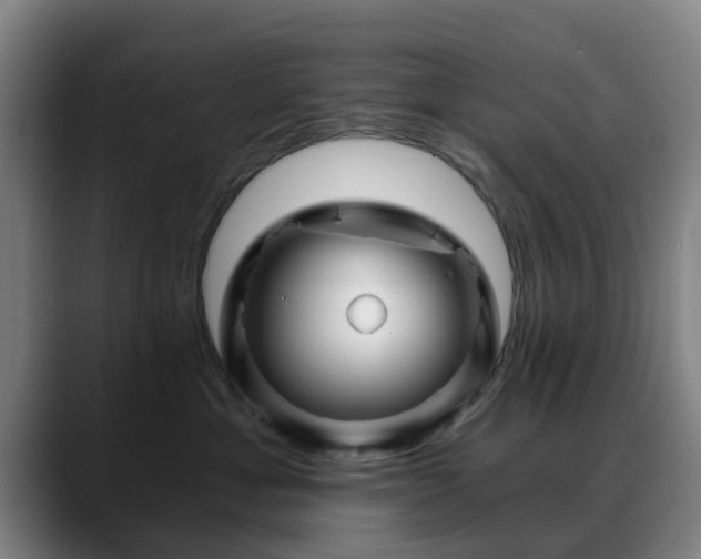 X0000088860429200706151739