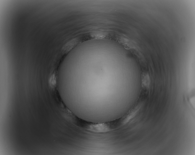 X0000088860431200706151739