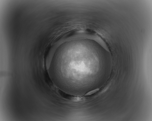 X0000088860432200706151739