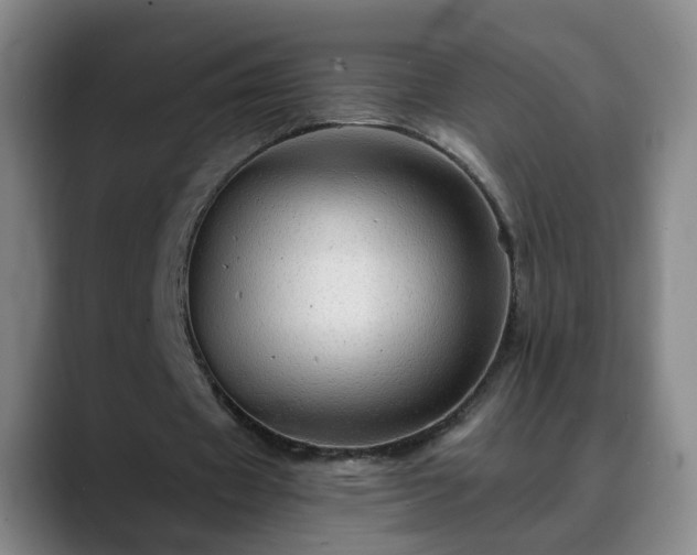 X0000088860433200706151738