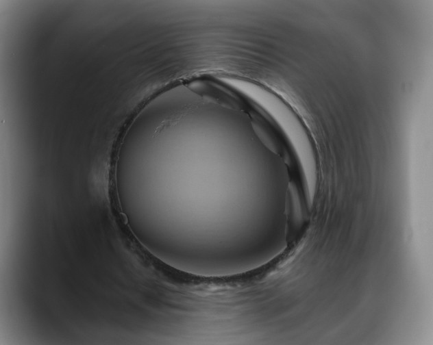 X0000088860434200706151738