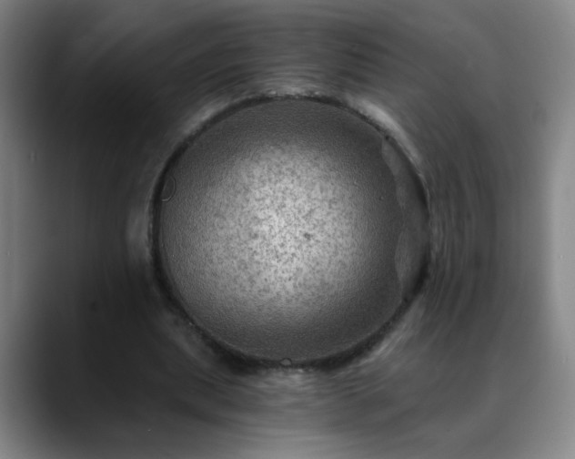 X0000088860439200706151738