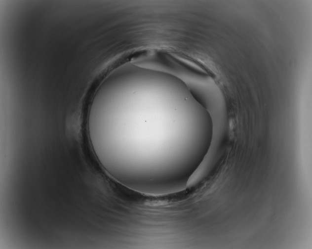 X0000088860440200706151738