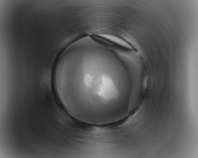 X0000088860442200706151738
