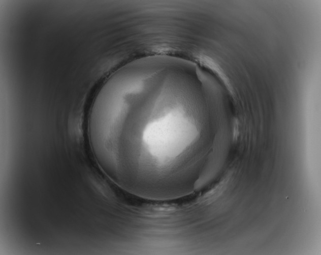 X0000088860443200706151738