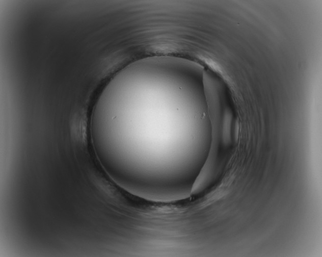 X0000088860446200706151738