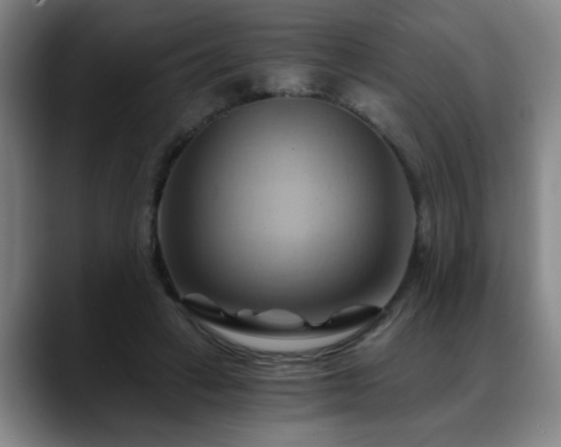 X0000088860449200706151738
