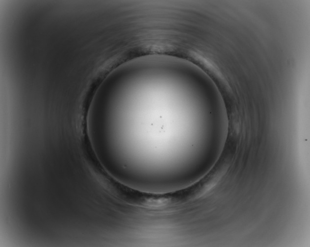 X0000088860450200706151738