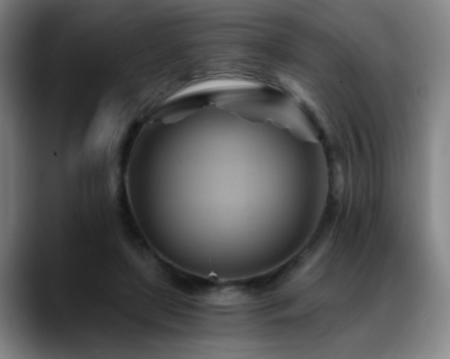 X0000088860451200706151738