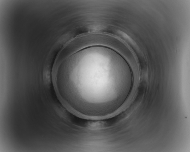 X0000088860452200706151738