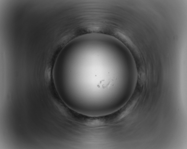 X0000088860454200706151738