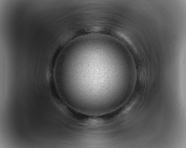 X0000088860455200706151739