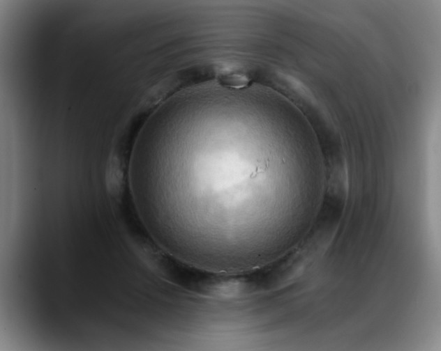 X0000088860456200706151739