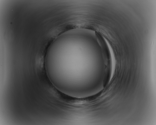 X0000088860458200706151739