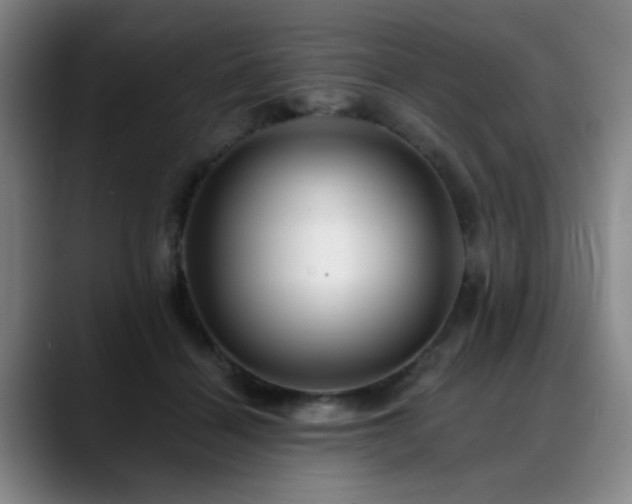 X0000088860460200706151739