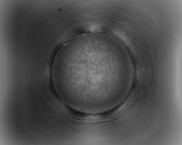 X0000088860461200706151739